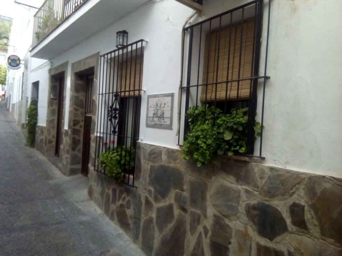 埃尔博斯克 Casa Rural Majaceite旅馆 外观 照片